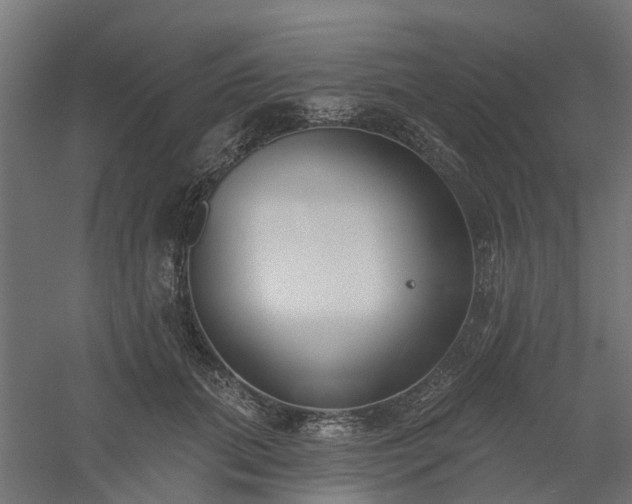 X0000061100655200511241617