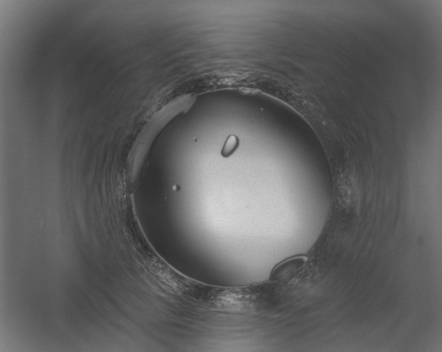 X0000061100657200511241617