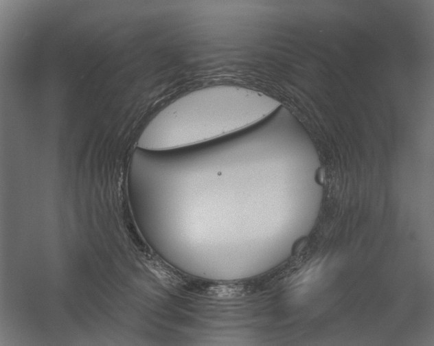 X0000061100660200511241617
