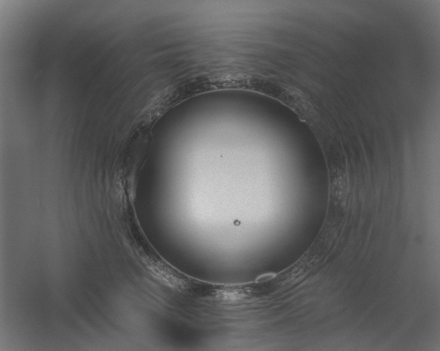 X0000061100662200511241617