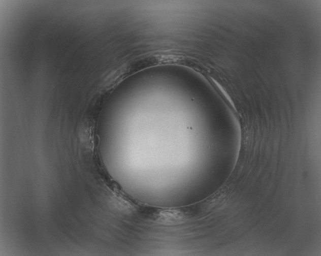 X0000061100666200511241617
