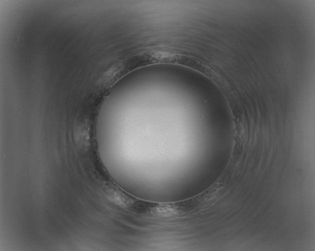 X0000061100668200511241617
