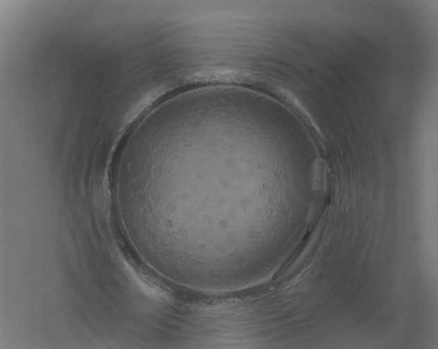 X0000061100674200511241617