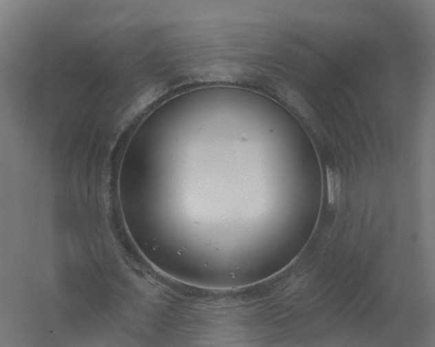 X0000061100675200511241617