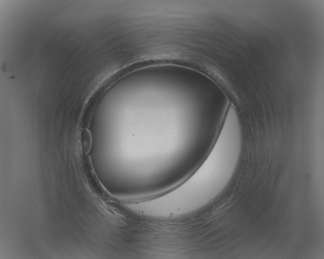 X0000061100676200511241617