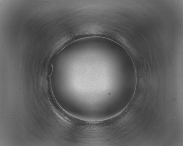 X0000061100677200511241617