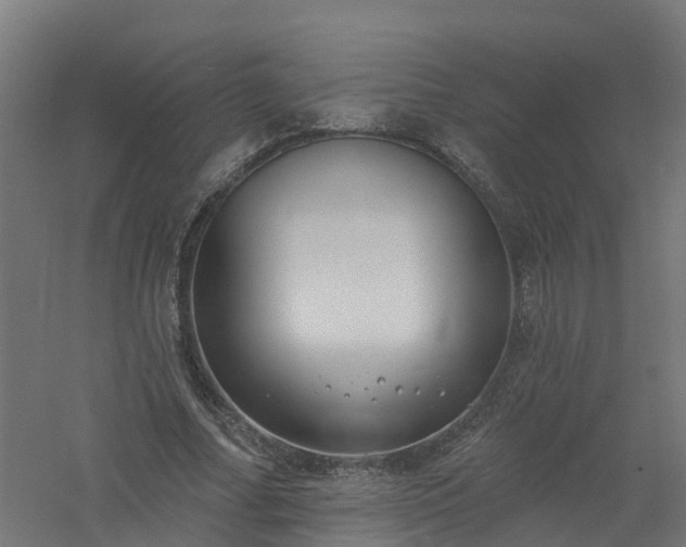 X0000061100682200511241617