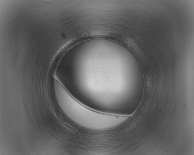 X0000061100684200511241616