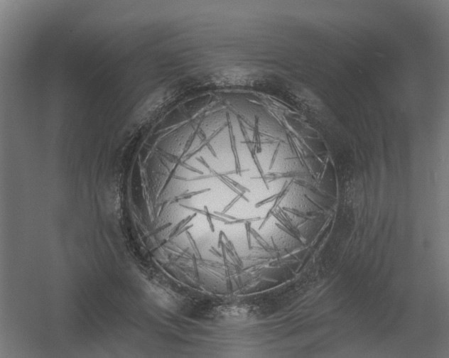 X0000061100687200511241616
