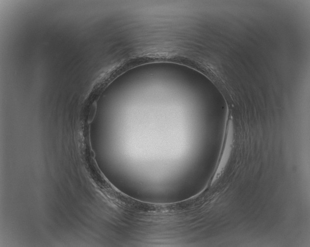 X0000061100688200511241616