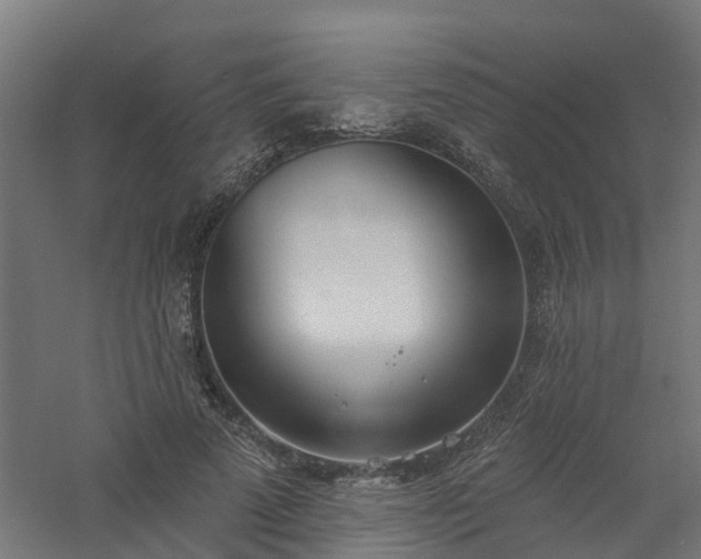 X0000061100689200511241616