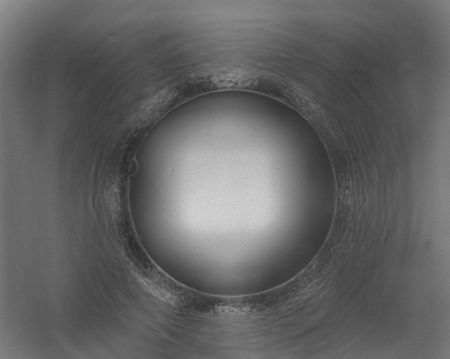 X0000061100690200511241616