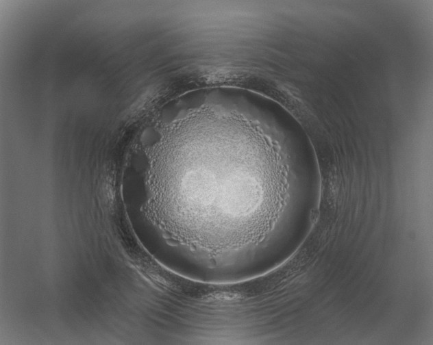 X0000061100691200511241616