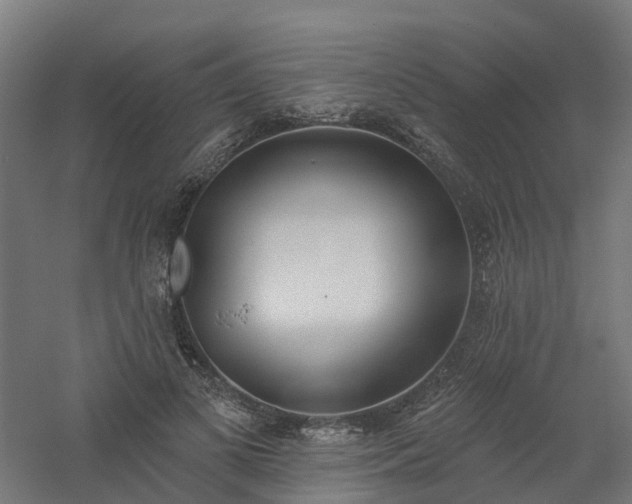 X0000061100693200511241616