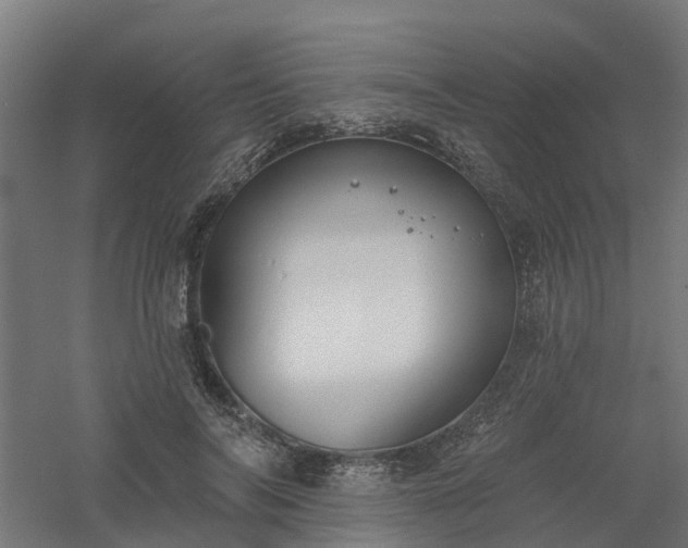 X0000061100694200511241616
