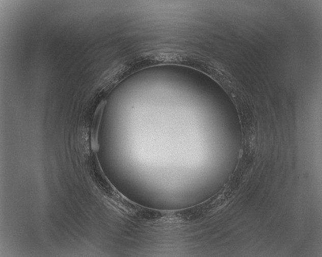 X0000061100696200511241616