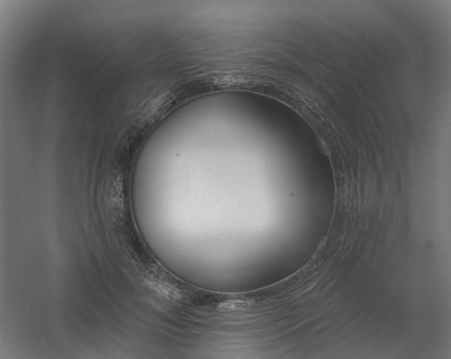 X0000061100700200511241616