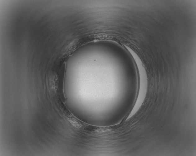 X0000061100712200511241616
