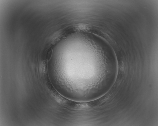 X0000061100715200511241616