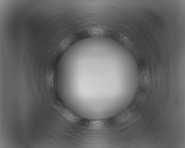 X0000061100717200511241616