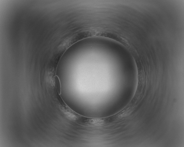 X0000061100719200511241616