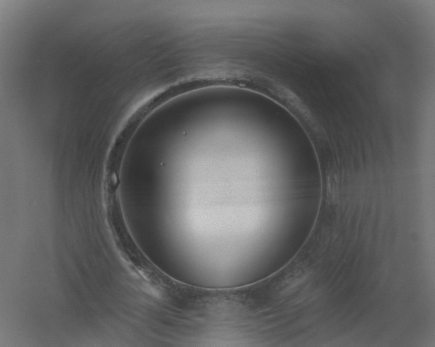 X0000061100724200511241615