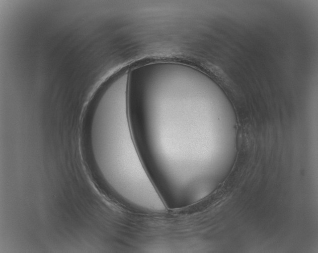 X0000061100728200511241615