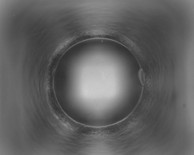 X0000061100732200511241615
