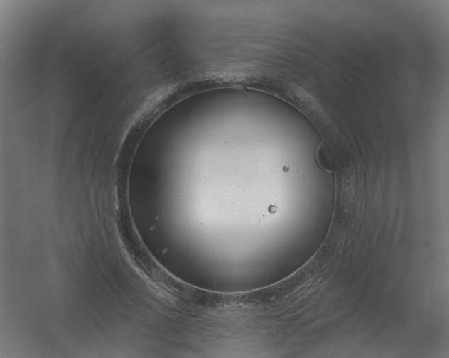 X0000061100734200511241615