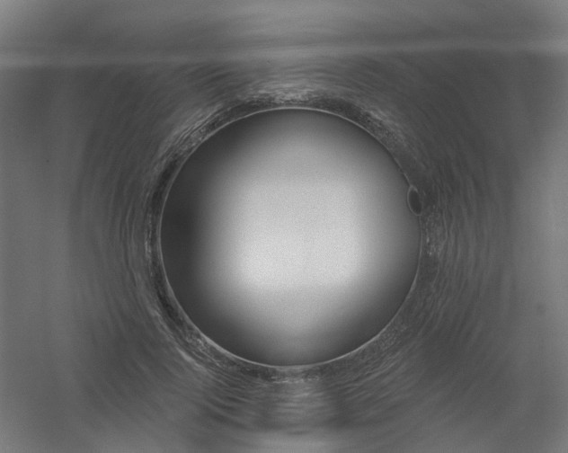 X0000061100740200511241615