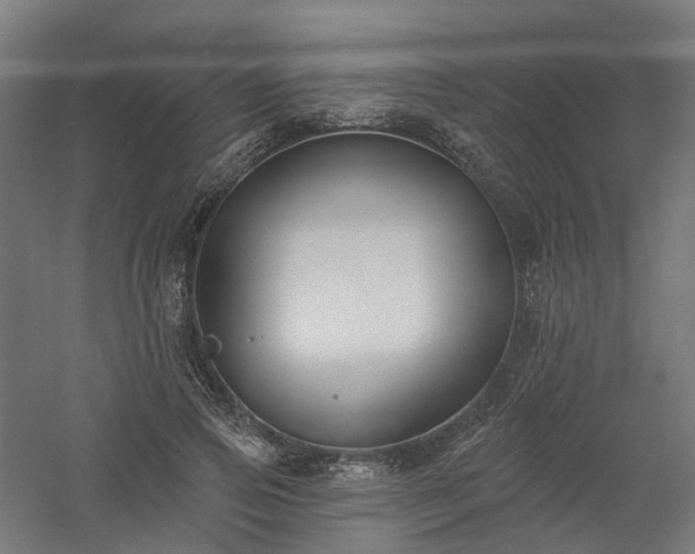 X0000061100741200511241615