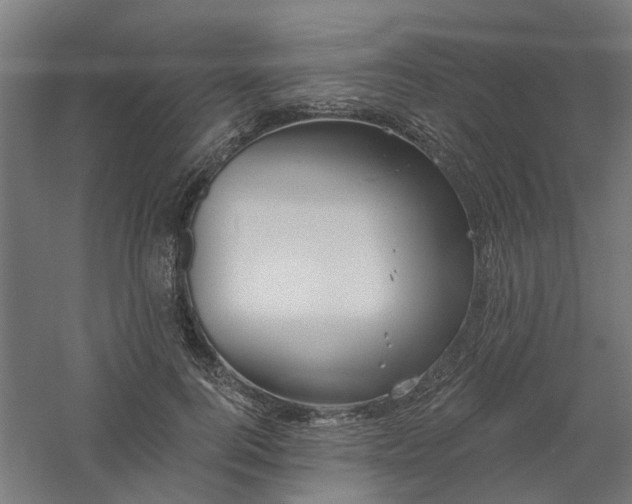 X0000061100744200511241615