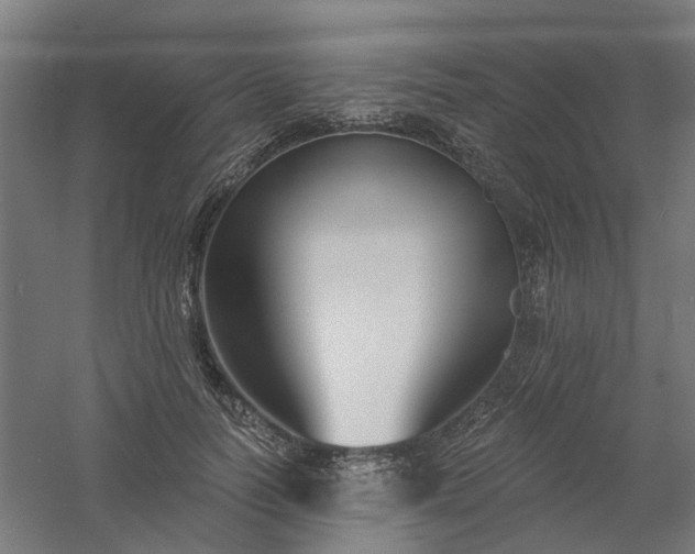 X0000061100746200511241615