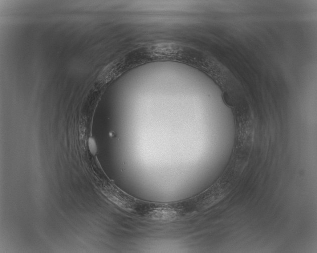 X0000061100749200511241615