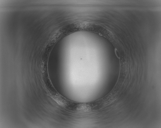 X0000061100750200511241616
