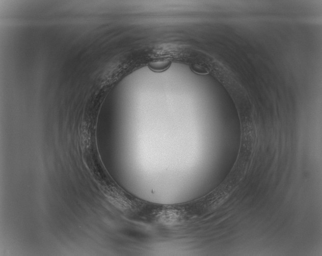 X0000061100751200511241616