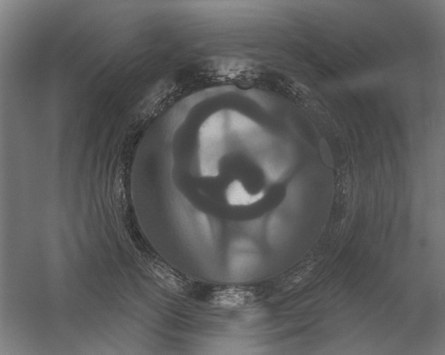 X0000061100754200511241616