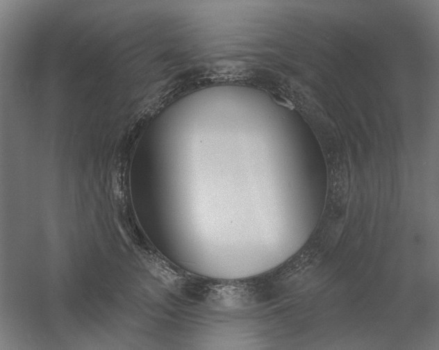 X0000061100755200511241616
