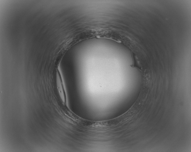 X0000061100756200511241616