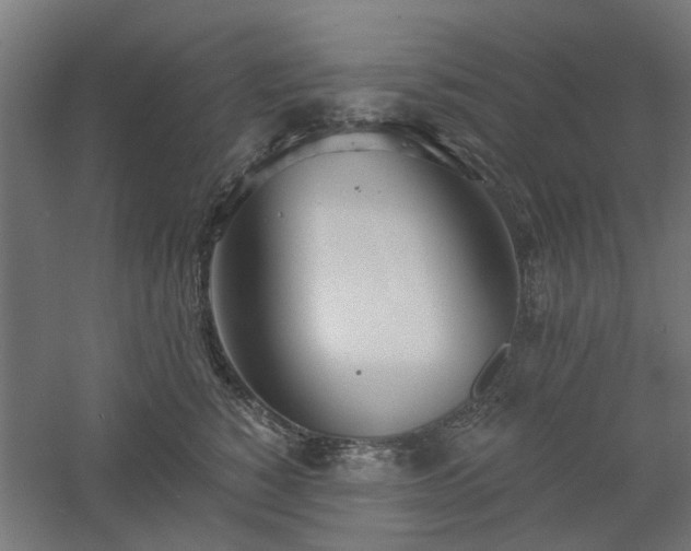 X0000061100760200511241616