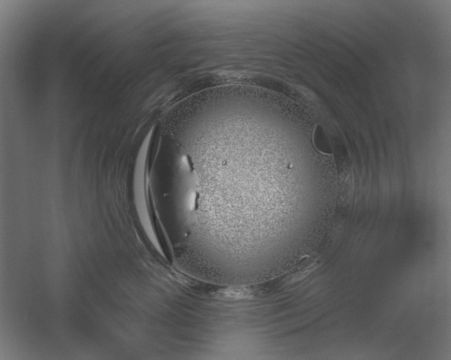 X0000061100765200511241616