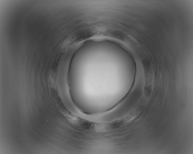 X0000061100766200511241616