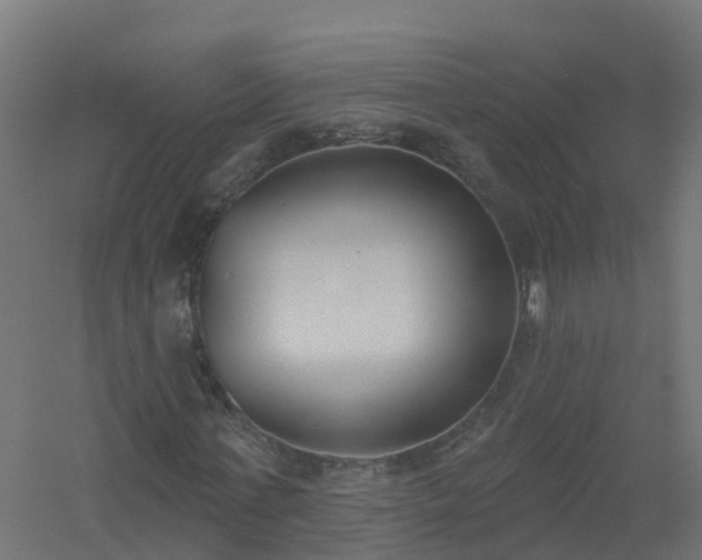 X0000061100771200511241615