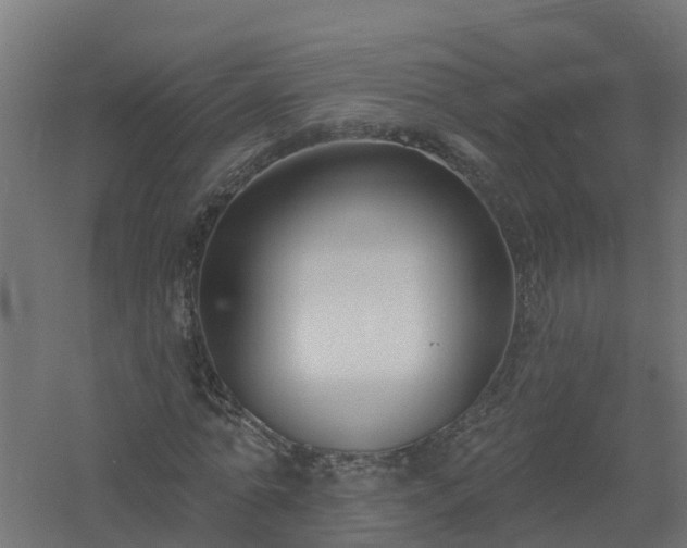 X0000061100774200511241615