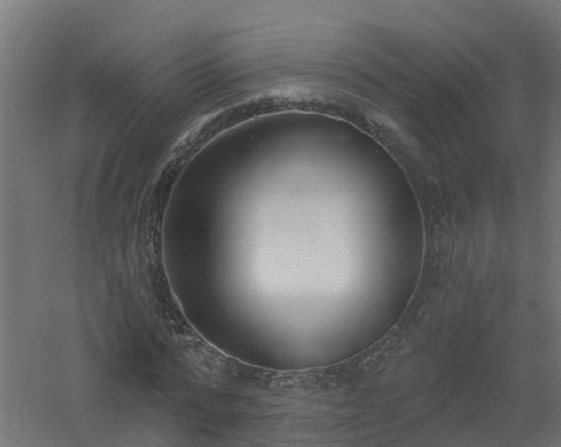 X0000061100776200511241615