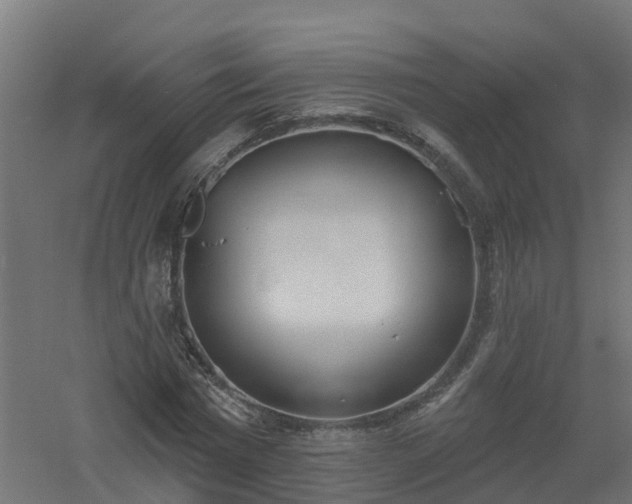 X0000061100777200511241615