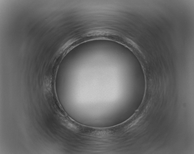 X0000061100778200511241615