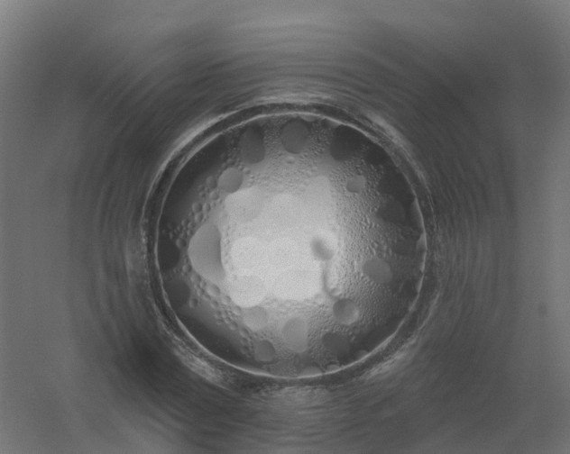 X0000061100779200511241615