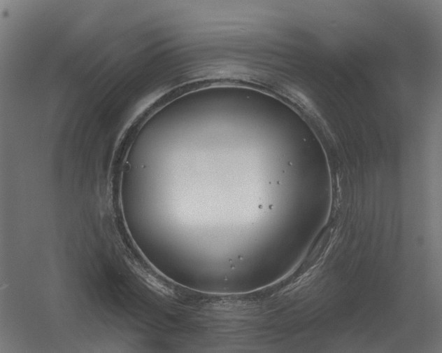 X0000061100780200511241615