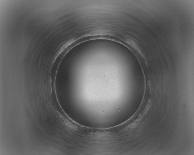 X0000061100781200511241615